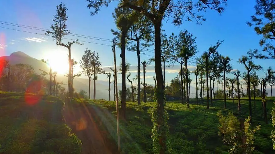 Bed and Breakfast Gruenberg Tea Plantation Haus Munnar 3*,