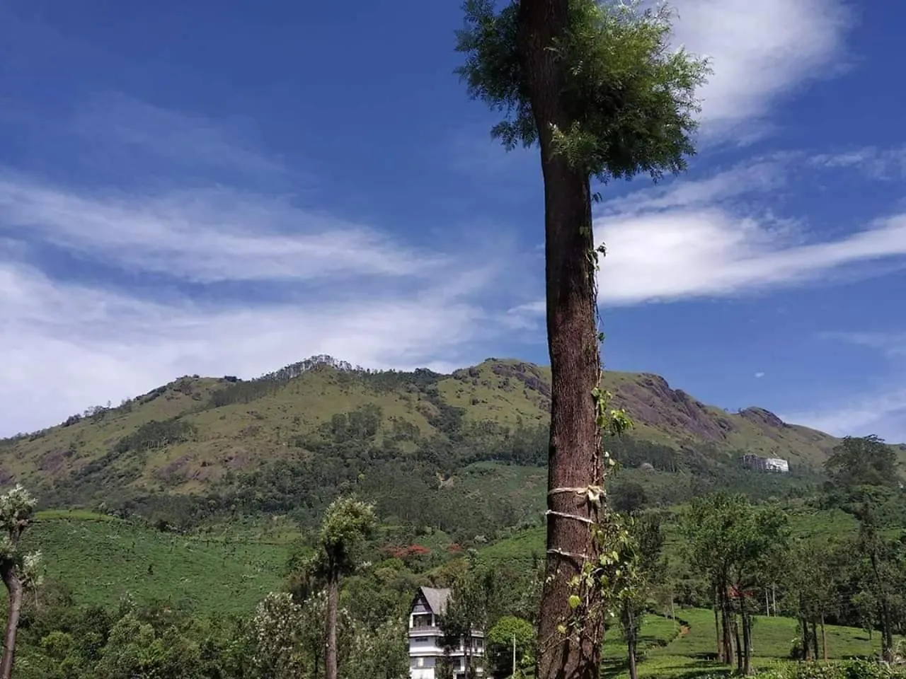Bed and Breakfast Gruenberg Tea Plantation Haus Munnar Bed & Breakfast